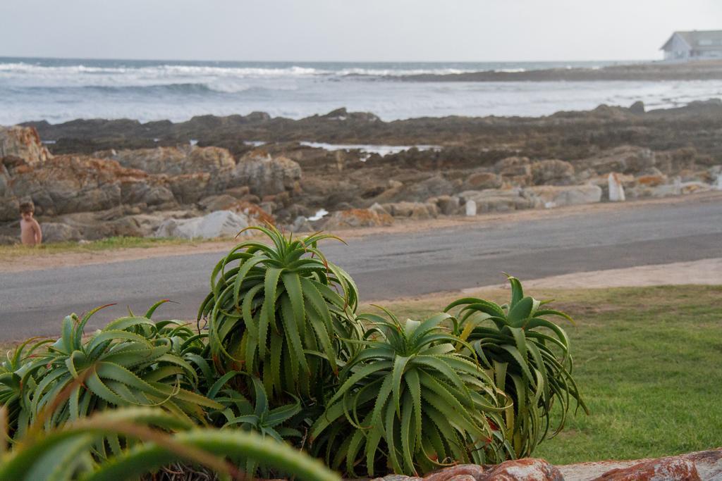 Little Rock Guesthouse Groot-Jongensfontein Екстер'єр фото